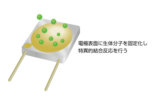 生体・理化学計測の応用